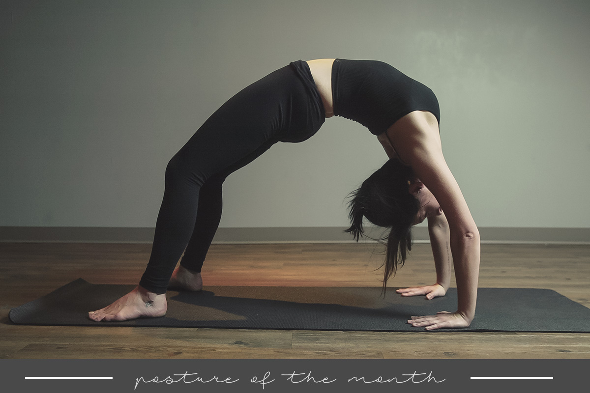 Back-bend Yoga Poses | YOGA BREEZE BALI